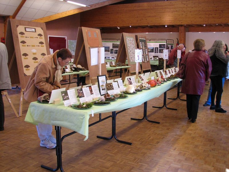 2009 10 Expo champignons de Clairefontaine 37